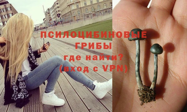 МДПВ Балахна