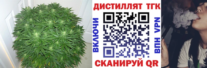 блэк спрут   Губаха  ТГК гашишное масло 