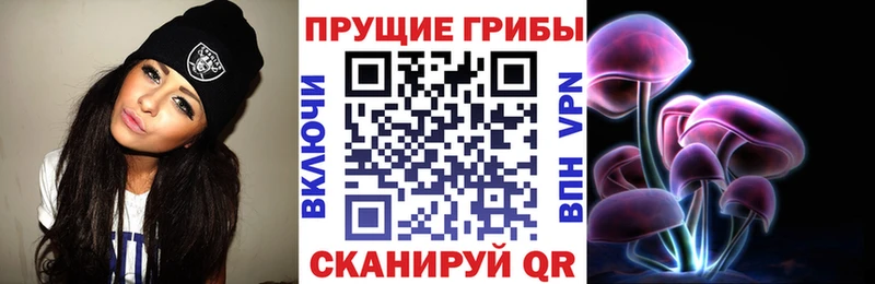 Псилоцибиновые грибы Psilocybine cubensis Губаха